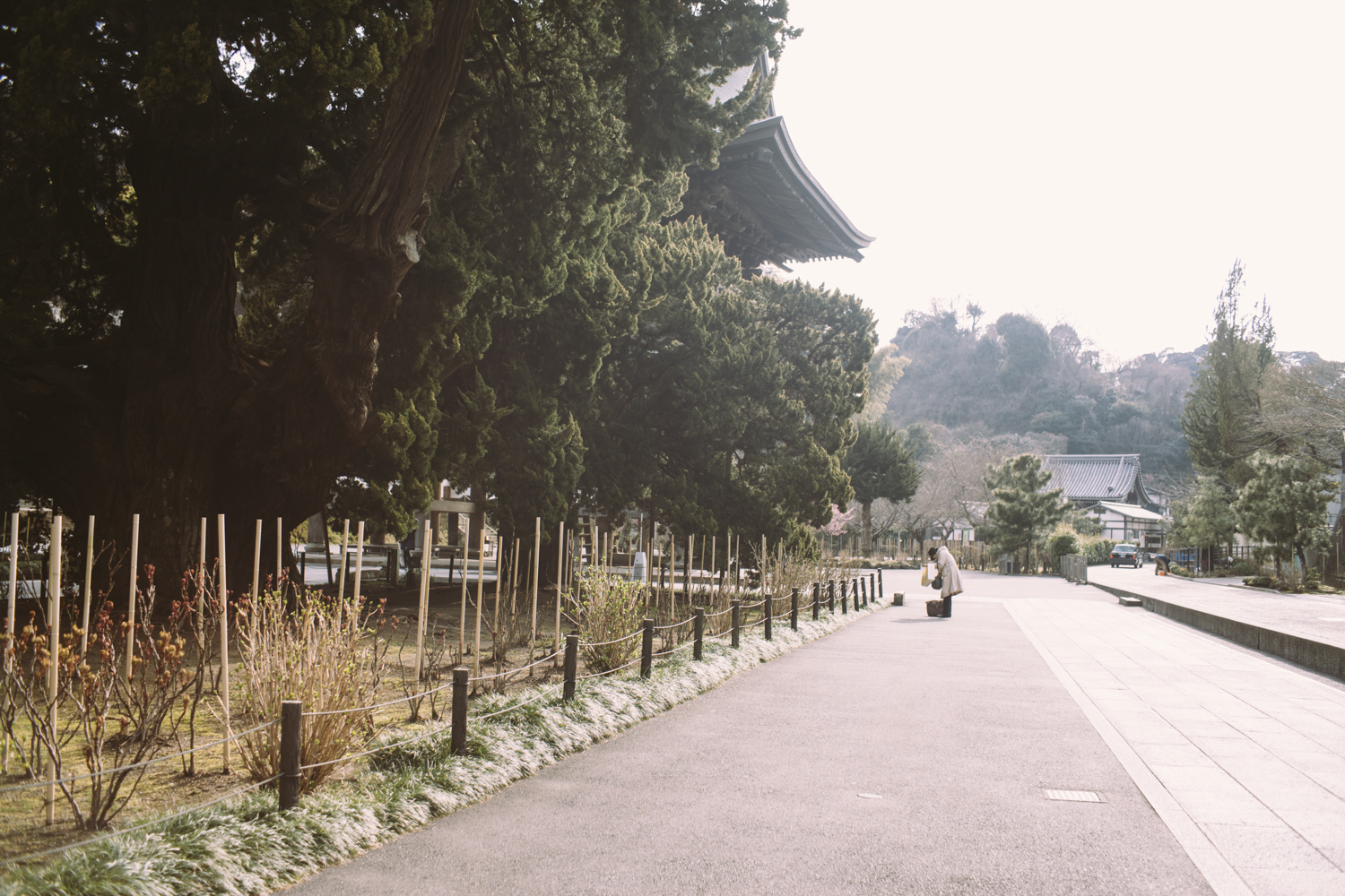 business as usual photography