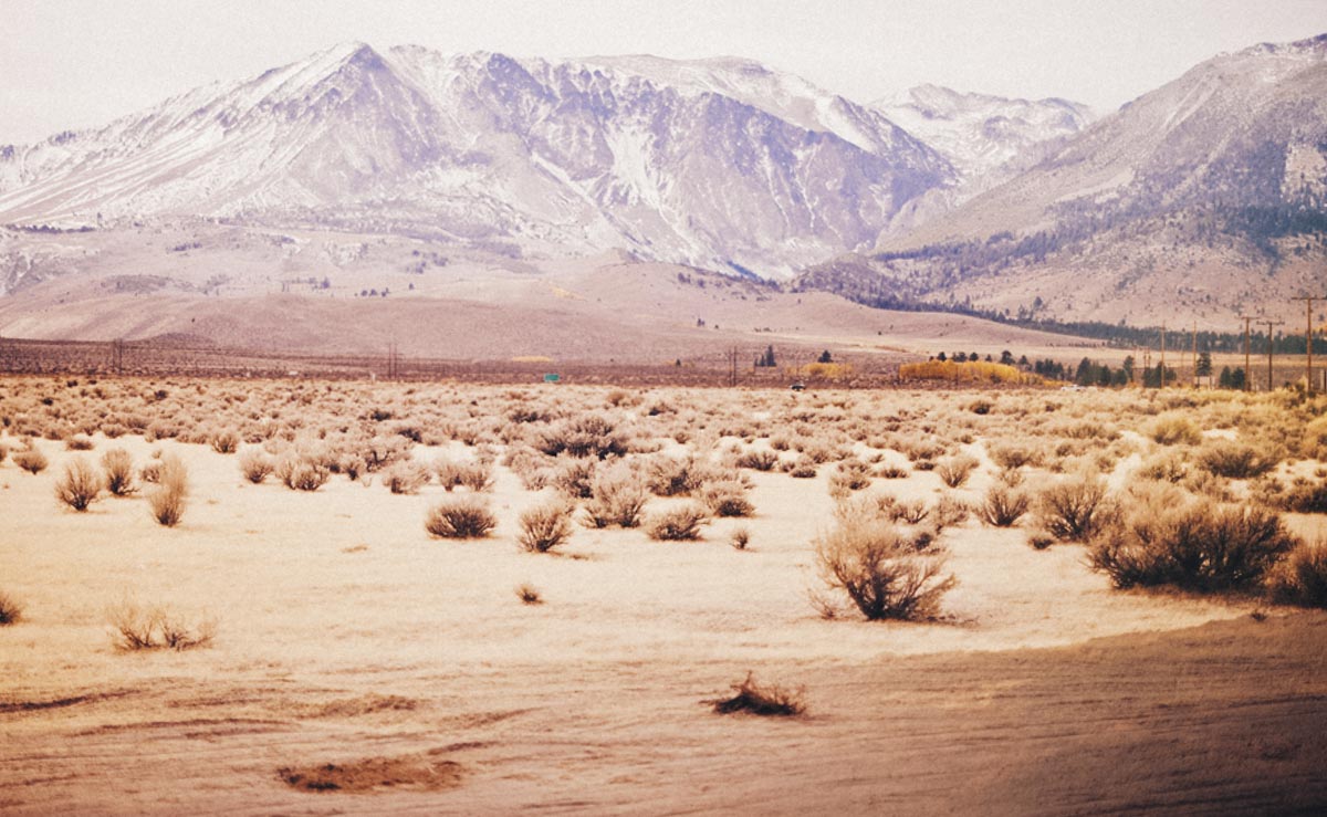 desert session photography