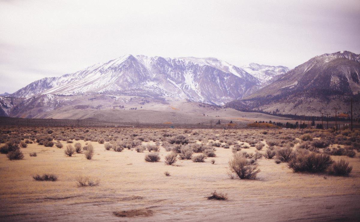 desert session photography
