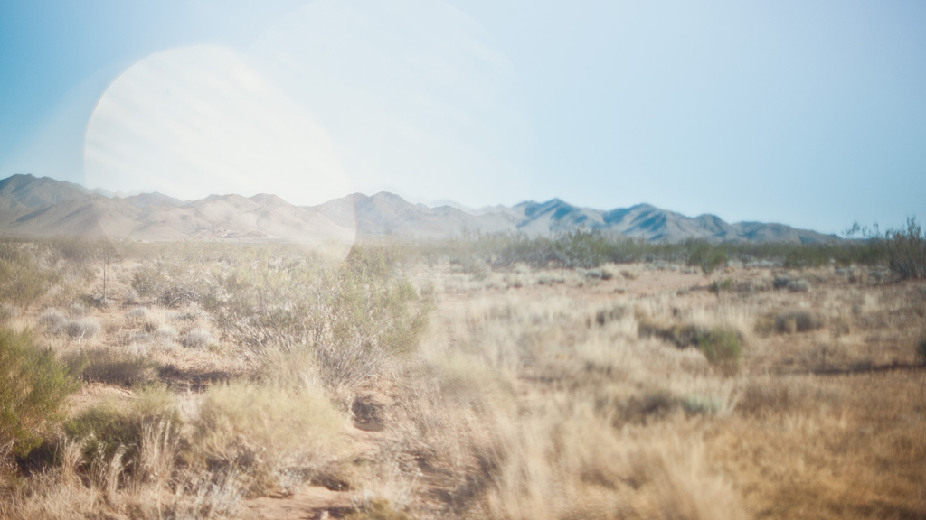 desert session photography