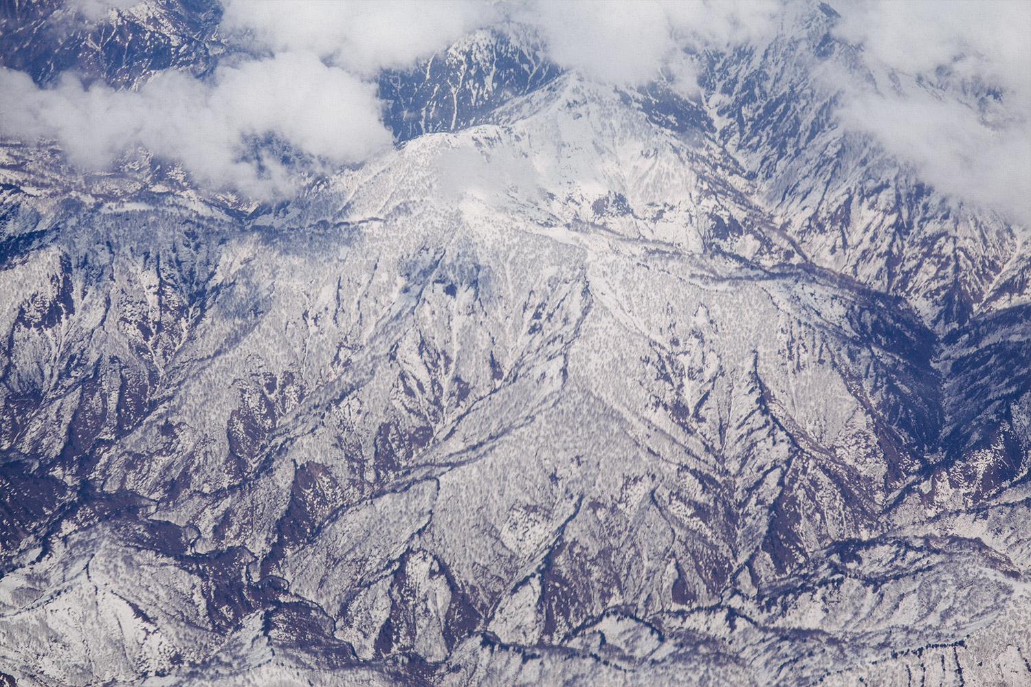 we are guests photography